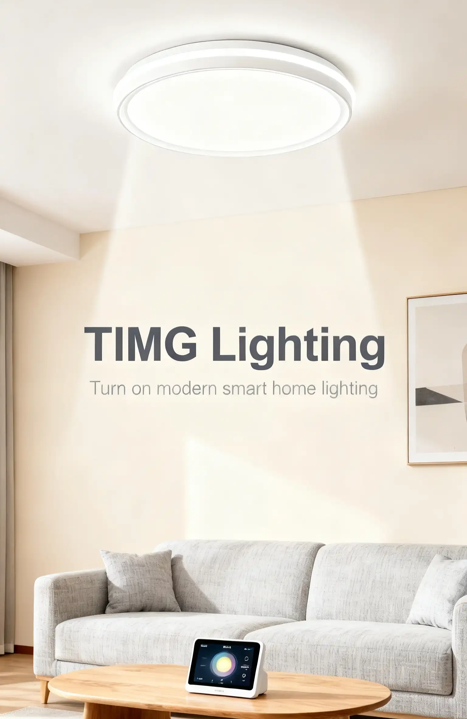 TIMG office