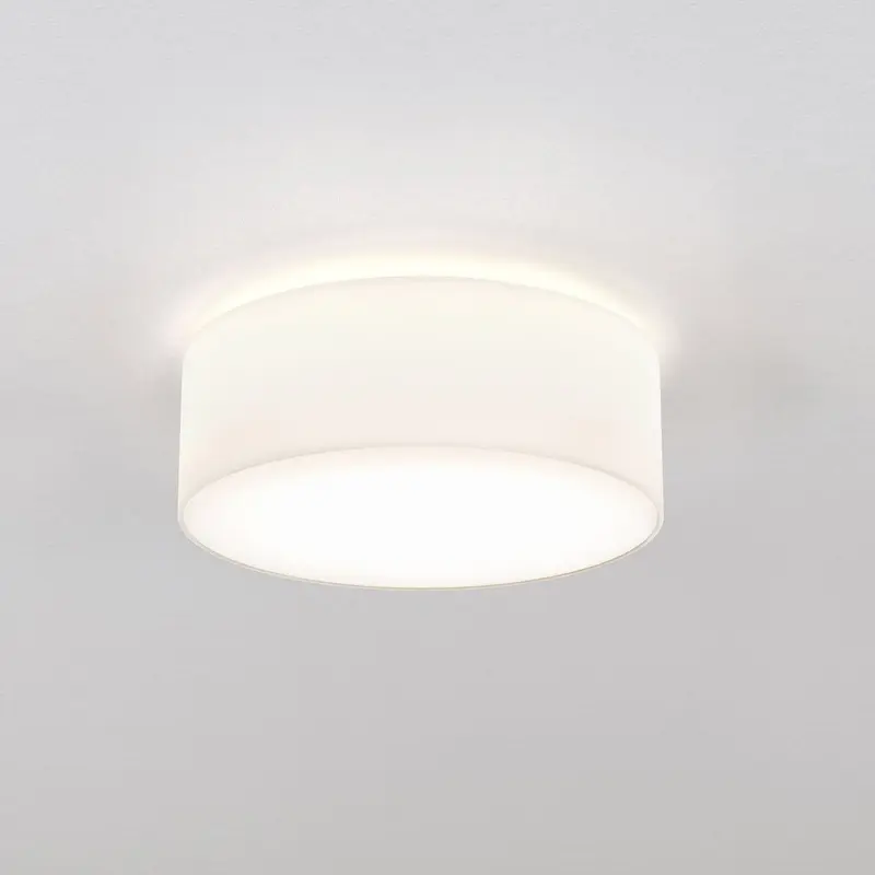 Cylindrical Ceiling Light