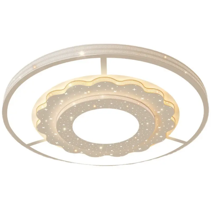Luxury Ceiling Light