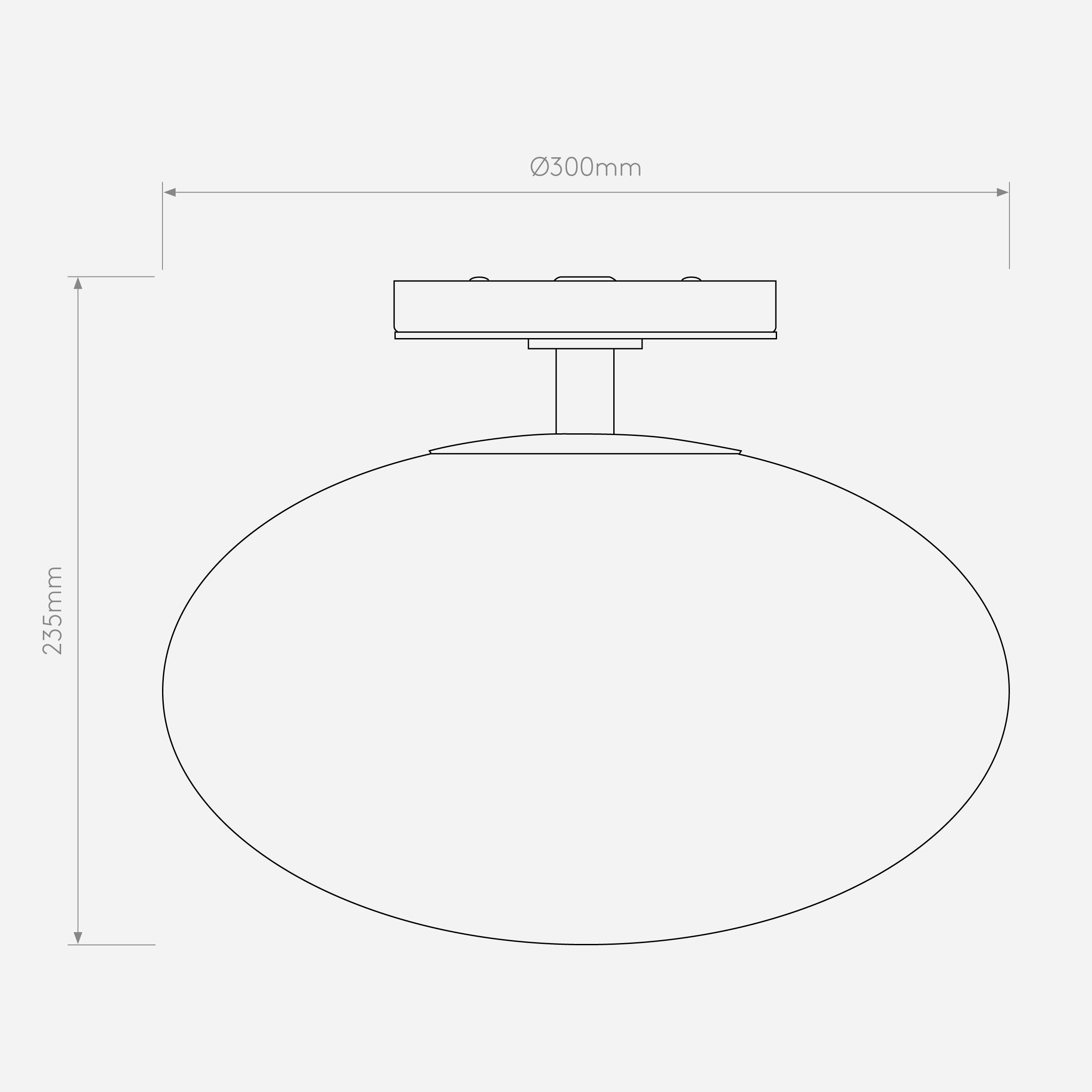Egg Ceiling Light