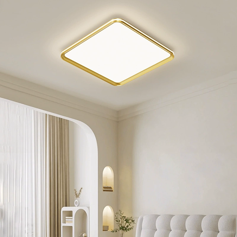 Ultra-thin Simple Ceiling Light