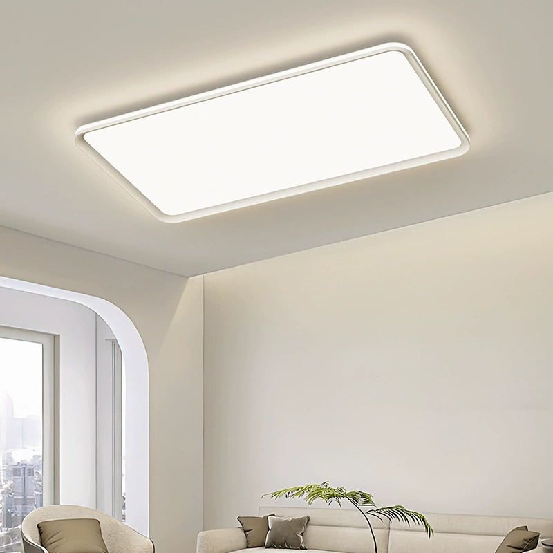 Ultra-thin Simple Ceiling Light