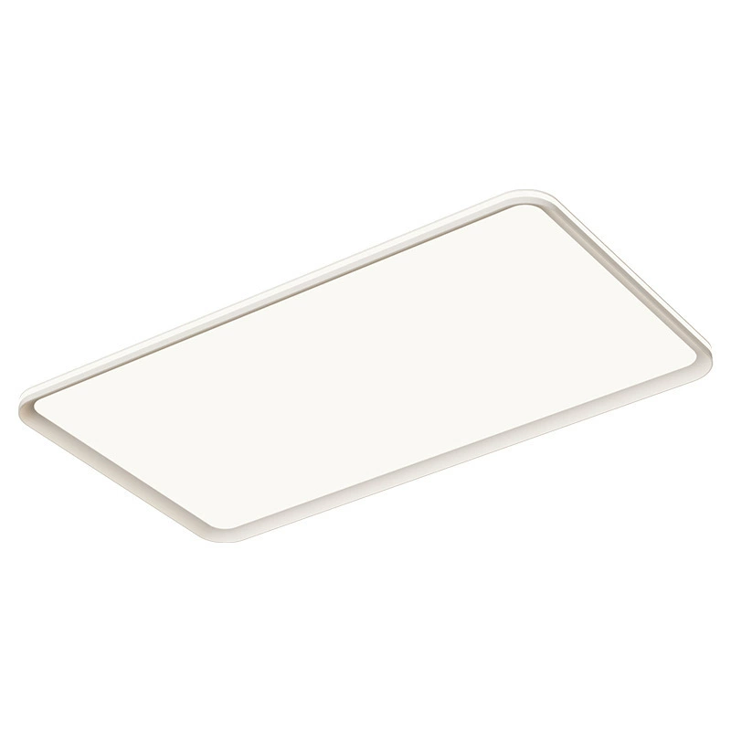 Ultra-thin Simple Ceiling Light
