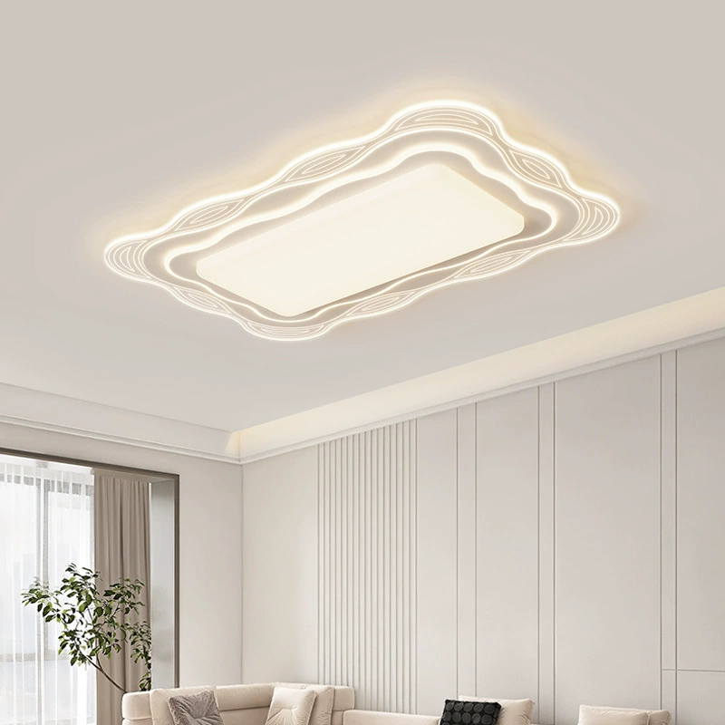Modern Simple Ceiling Light