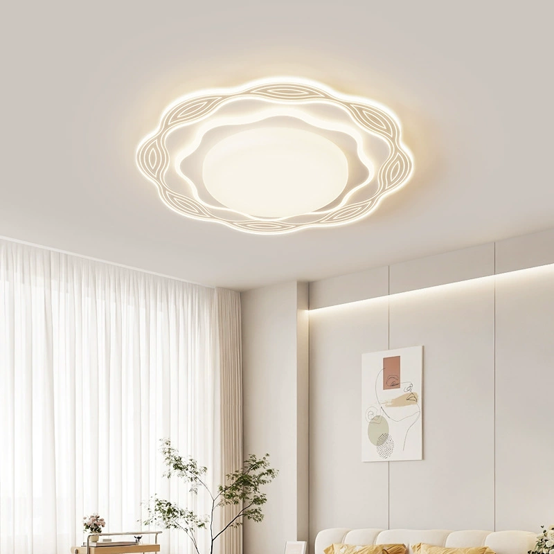 Modern Simple Ceiling Light