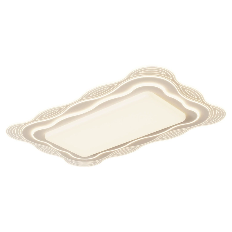 Modern Simple Ceiling Light